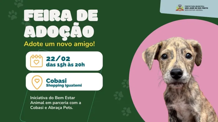 Bem-estar faz campanha de adoção neste sábado