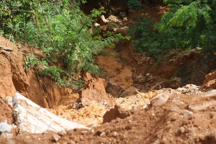 Foto: Reprodução/Prefeitura de Parauapebas - PA
