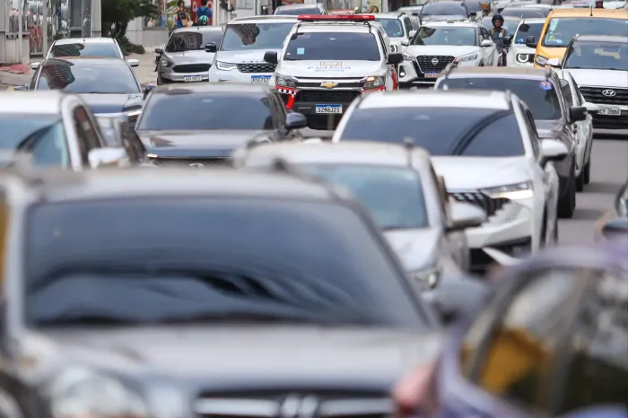 Foto: Rodrigo Pinheiro / Ag.Pará