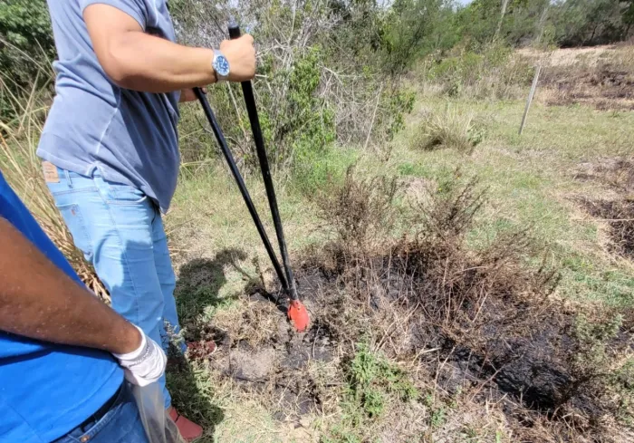 Semmam realiza avaliação do solo na lagoa de Berreca para investigar causa de incêndio