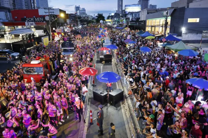 Foliões aproveitaram a estrutura montada pelo Governo de Goiás e Sesc na Avenida 85 (Fotos: André Saddi e Dhara Dias)