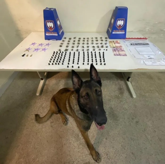 Polícia Militar realiza apreensões durante o final de semana em Guarapari