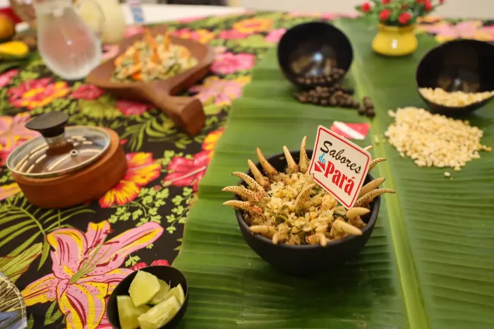 Foto: Bruno Cecim / Ag.Pará