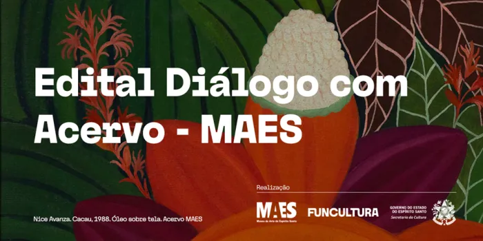 Secult lança edital ‘Diálogo com o Acervo – MAES’