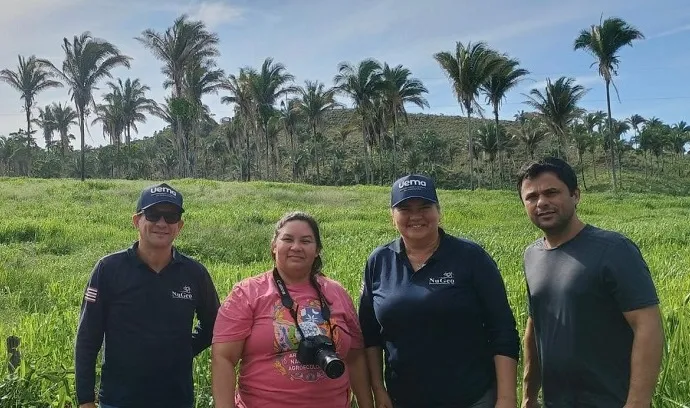 IMESC e UEMA iniciam trabalho de campo para aprimorar estudos de vegetação no Maranhão