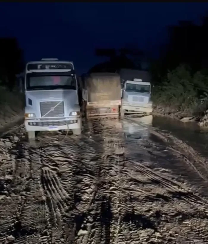 Foto: Reprodução/ALE-RO