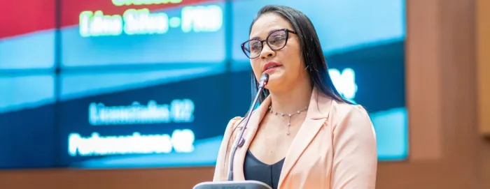 Edna Silva agradece governador Brandão e defende parceria para enfrentar o problema das voçorocas no Maranhão