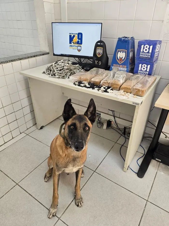 Foto: Reprodução/Polícia Militar - ES