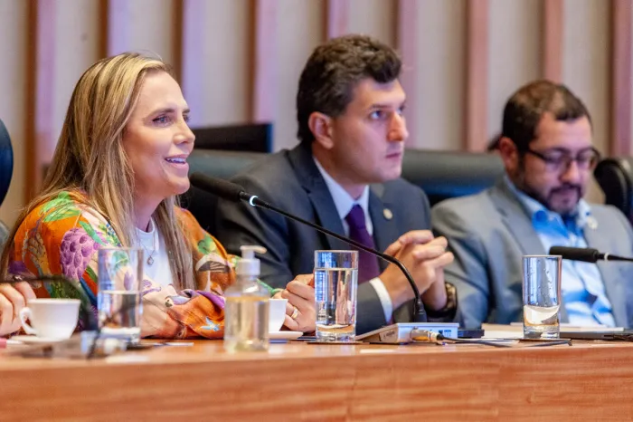 Foto: Eurico Eduardo/ Agência CLDF