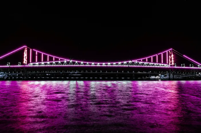 Dia Internacional da Mulher: Governo de Santa Catarina terá atividades durante todo o mês