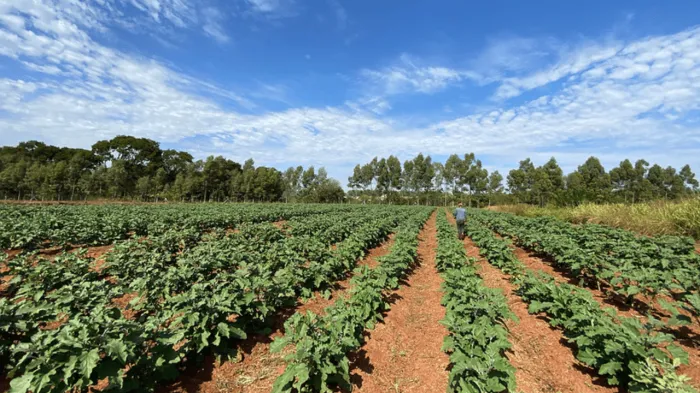 Evento agro incentiva liderança feminina
