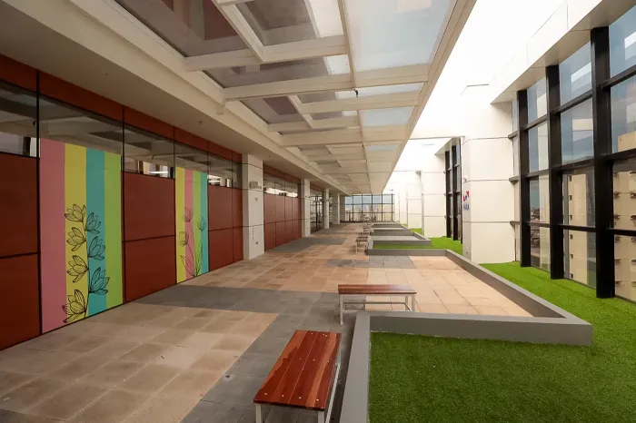 Foto: Alex Ribeiro / Ag. Pará