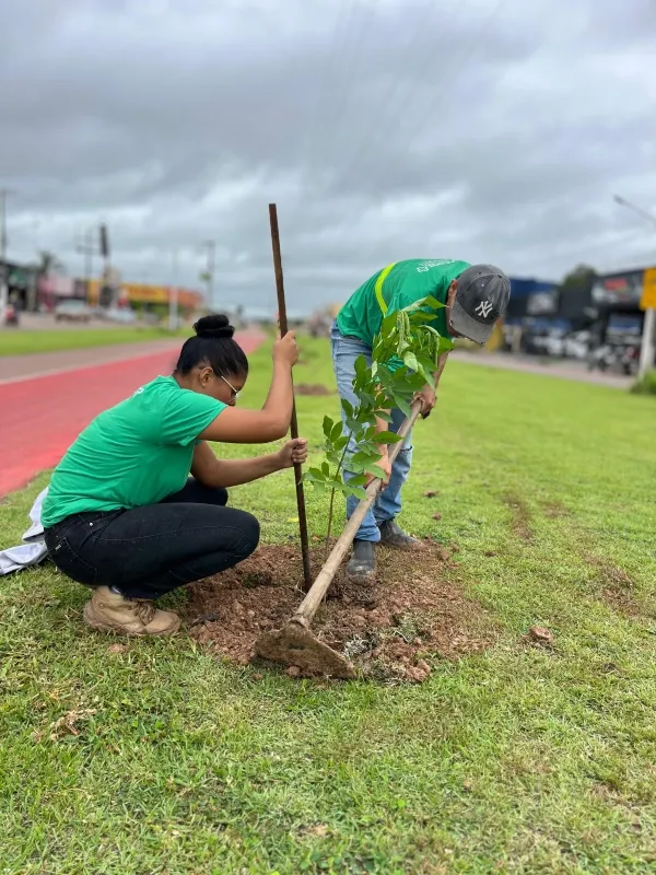 Secretaria de Meio Ambiente avança com plantio de árvores na avenida André Maggi