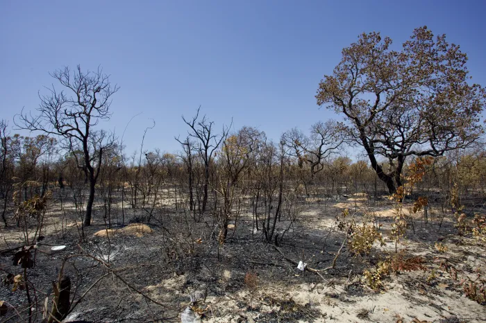 Bahia promove 4ª Conferência Estadual do Meio Ambiente