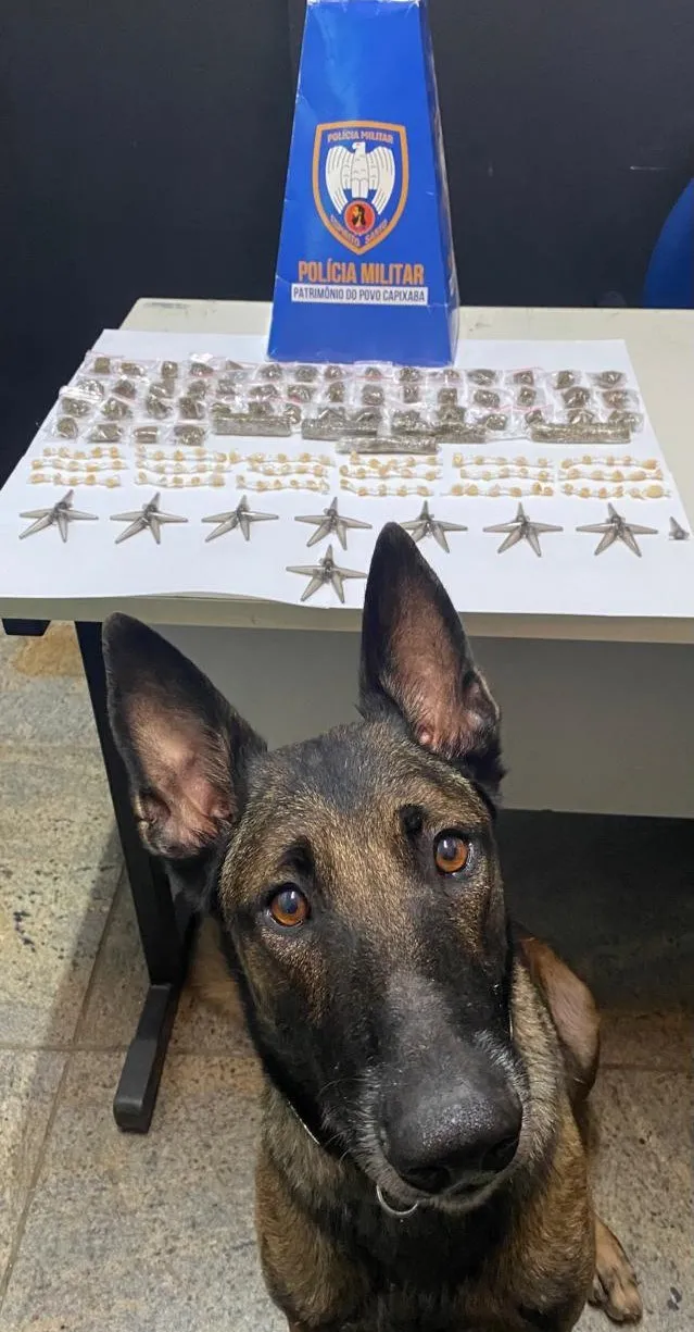 PM apreende drogas e recupera produtos de furto/roubo em Guarapari