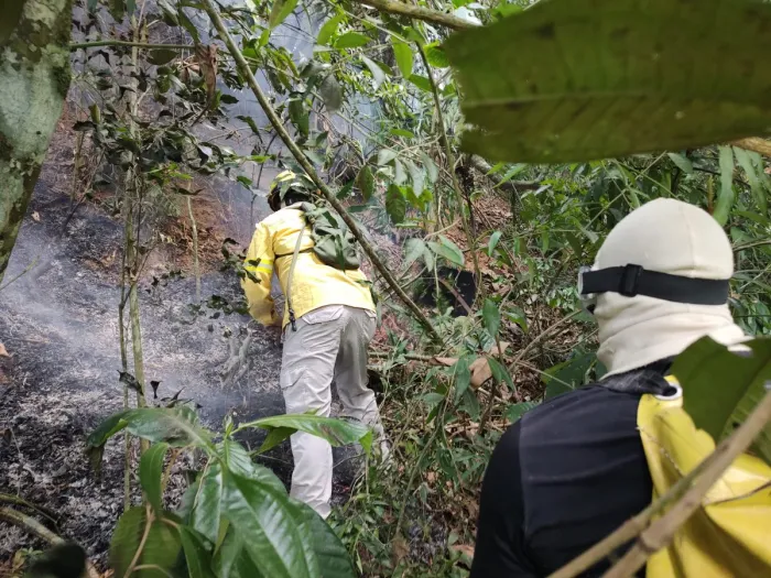 Foto: Reprodução/Prefeitura de Nova Iguaçu - RJ