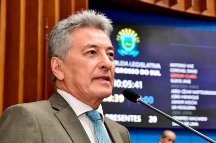 Pantanal de MS: PEC sugerida por Hashioka é aprovada no Senado