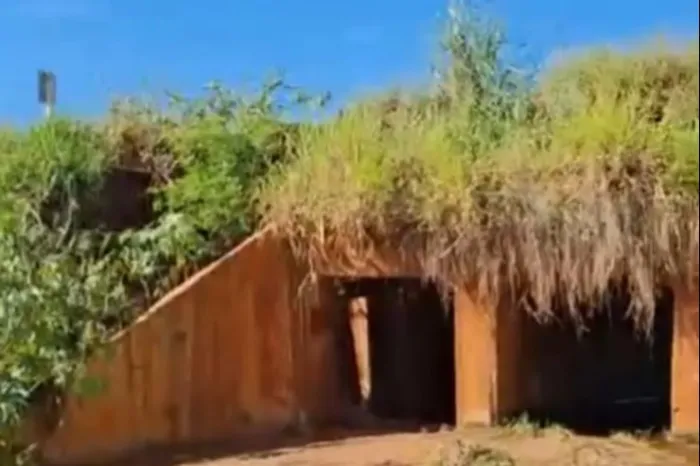 Jateí: Zé Teixeira pede ação emergencial do governo 