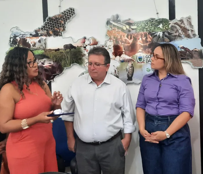 Sedap debate o protagonismo das mulheres na agropecuária e o combate à violência