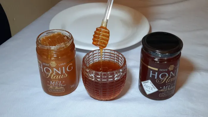 Foto: Reprodução/Secom SC