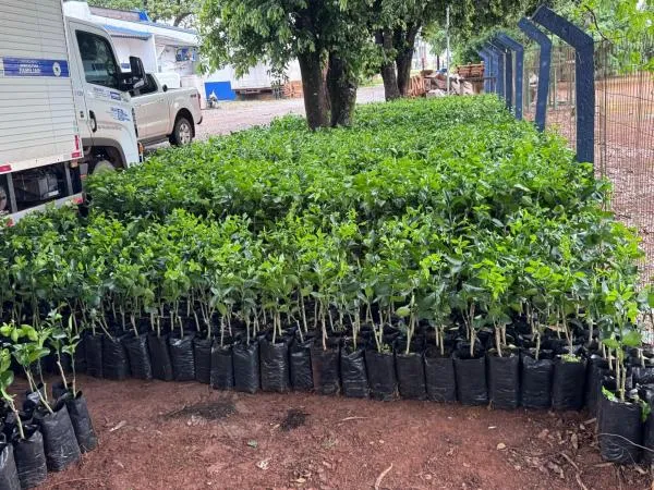 Foto: Reprodução/Prefeitura de Sorriso - MT