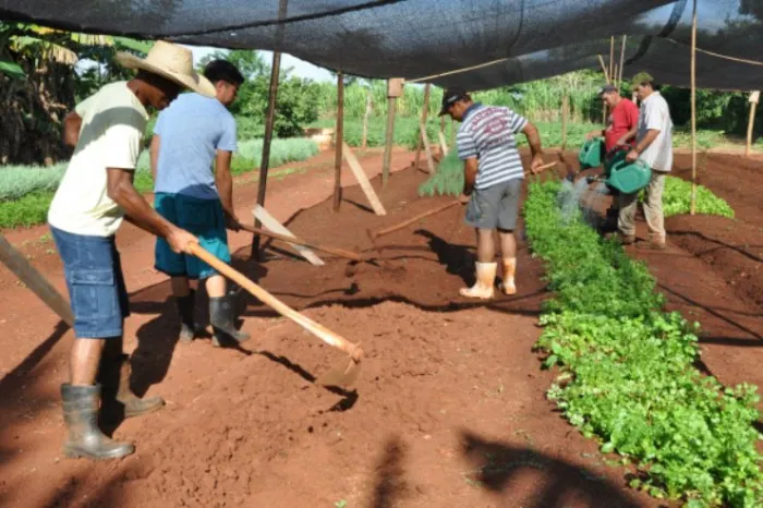 Casa da Esperança: Zé Teixeira defende trabalho social em Dourados