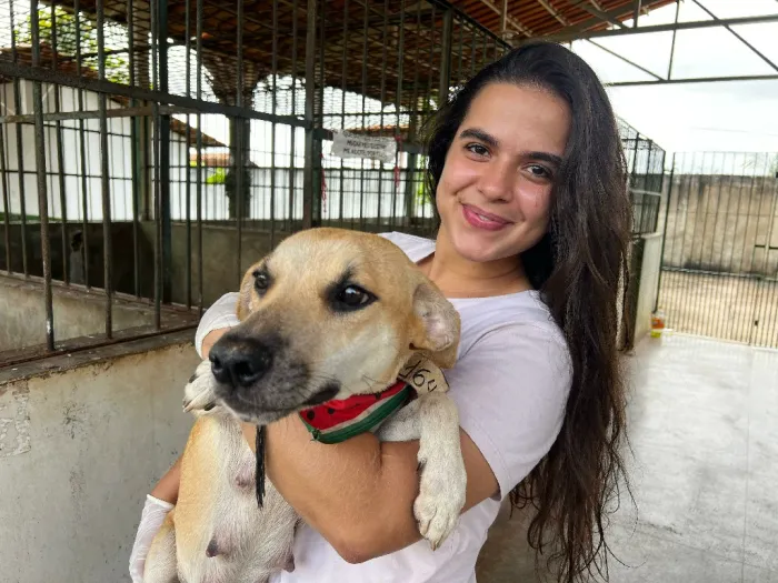 Foto: Reprodução/Prefeitura de Marabá - PA