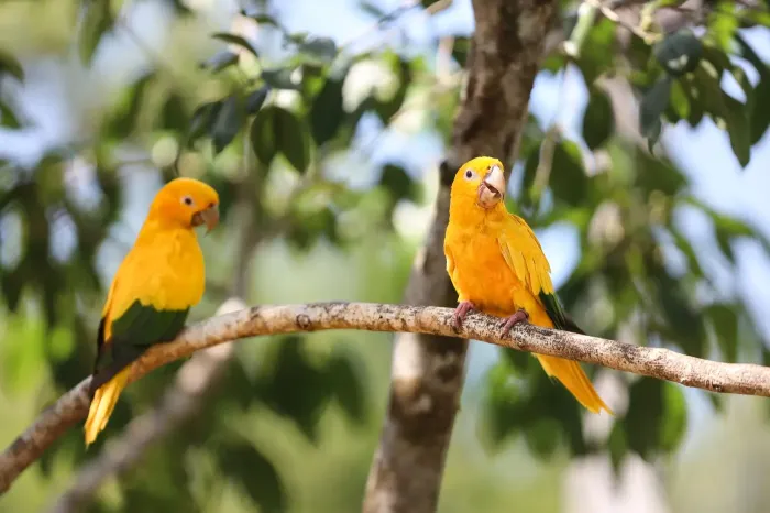 Foto: Bruno Cecim - Ag. Pará