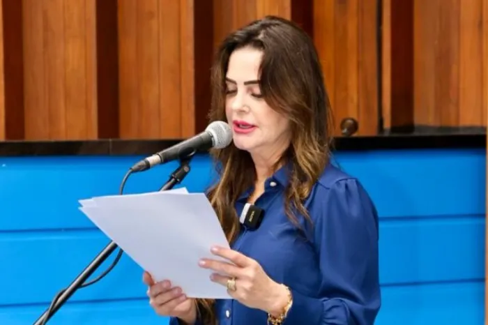 Para garantir segurança no trânsito, Mara Caseiro pede redutor de velocidade na MS-080