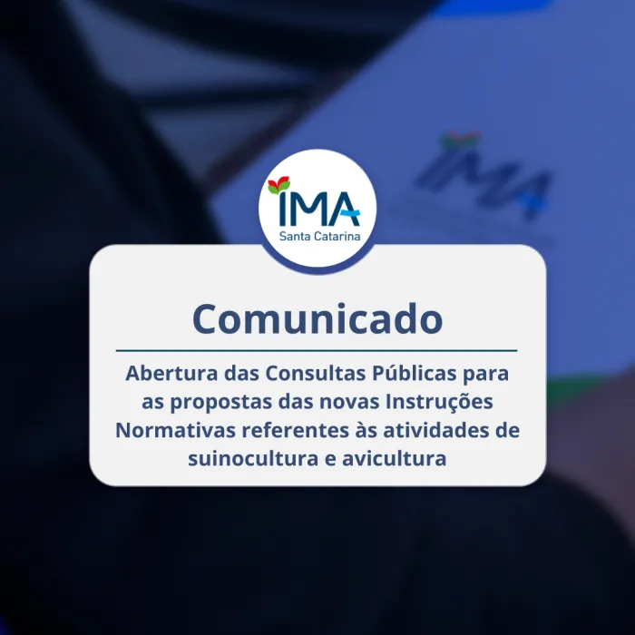 IMA abre consultas públicas para recebimento de sugestões e comentários sobre novas instruções