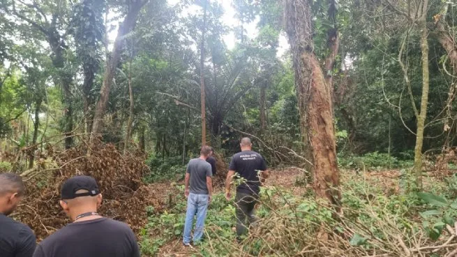 Foto: Reprodução/Prefeitura de São Sebastião - SP