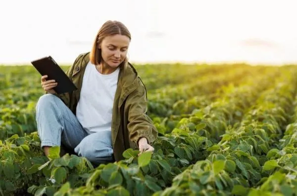 Foto: Reprodução/Câmara de Sorriso - MT