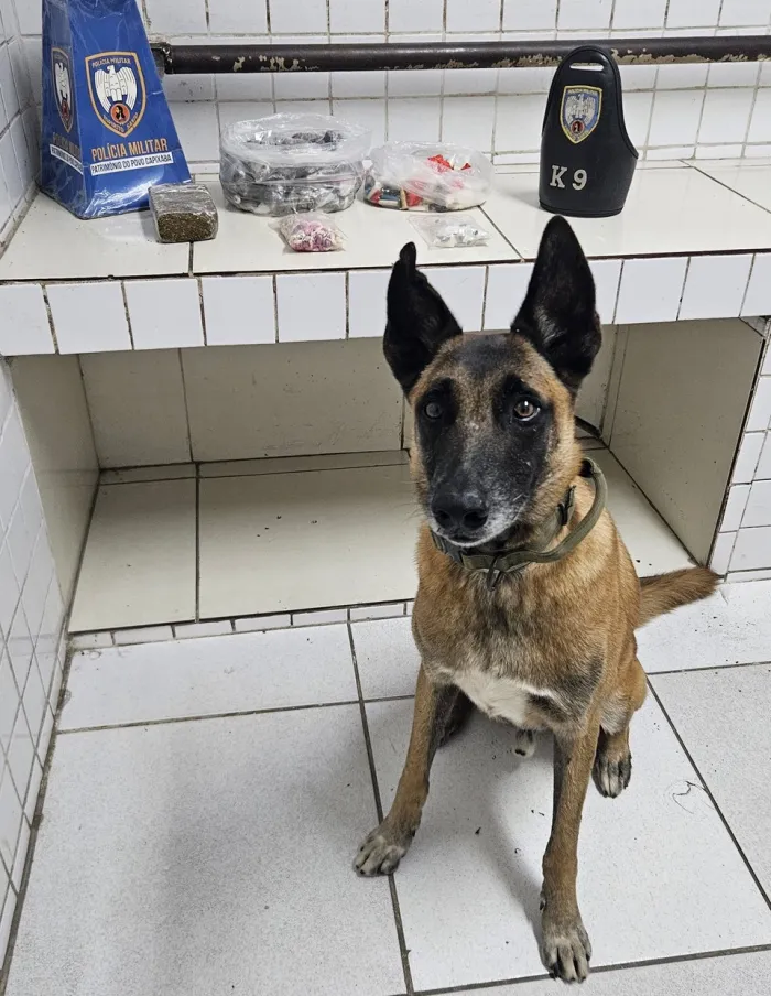 Foto: Reprodução/Polícia Militar - ES