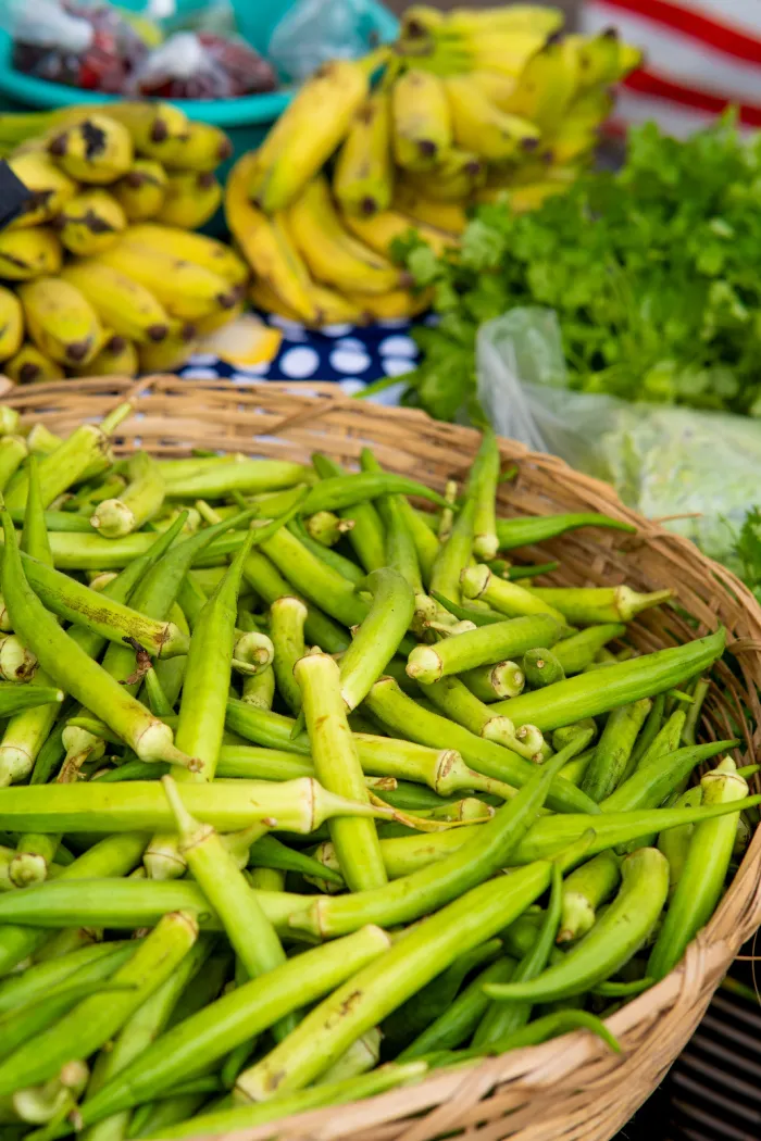 Sesau promove palestra sobre alimentação saudável e prevenção da obesidade