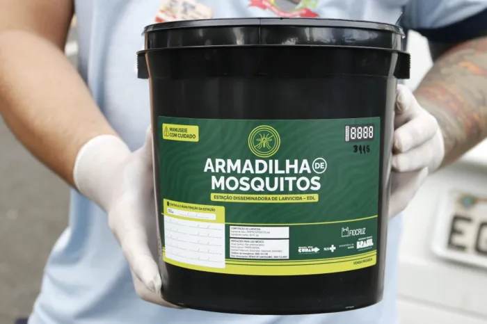 Notificações por dengue seguem em queda no mês de março