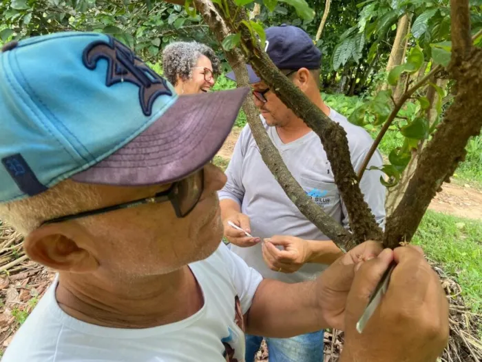 Comitê do Cacau Amazônico realiza 3ª Reunião Ordinária com o apoio da Secretaria de Estado de Planejamento, Orçamento e Gestão (Sepog)