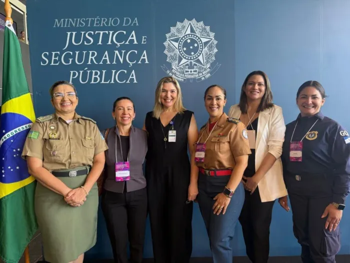 Foto: Reprodução/Secom Piauí