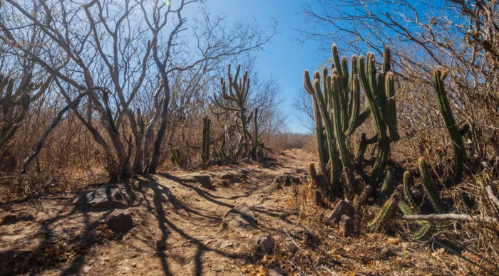 Sergipe segue registrando melhora na condição de seca
