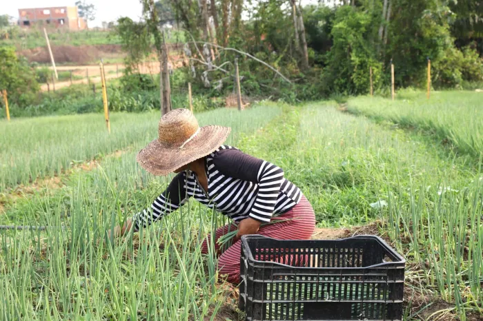Foto: Reprodução/Secom Acre