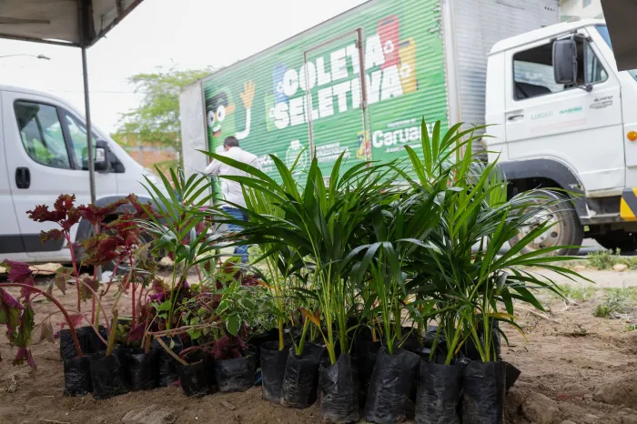 Foto: Reprodução/Prefeitura de Caruaru - PE
