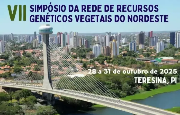 Foto: Reprodução/Secom Piauí