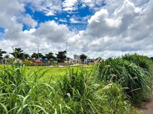 Foto: Reprodução/Câmara de Sorriso - MT