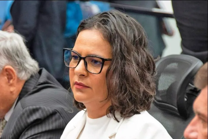 Violência Política de Gênero é tema de Projeto de Lei em memória à Dorcelina Folador