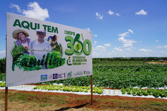 (Foto: Ascom Prefeitura/Reprodução)