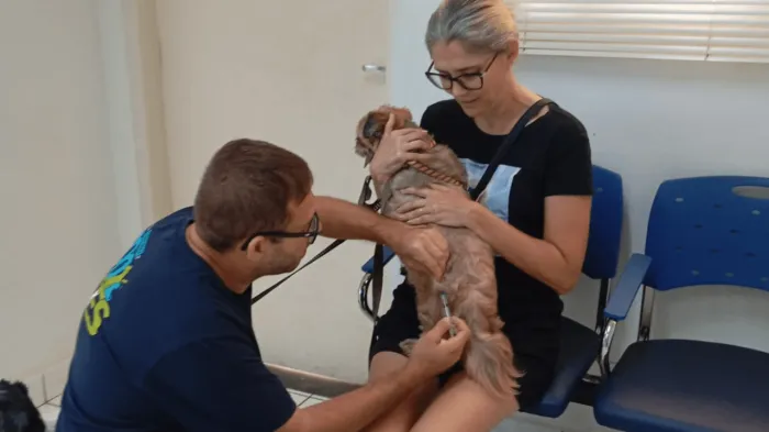 Zoonoses funciona neste sábado com oferta de vacina antirrábica