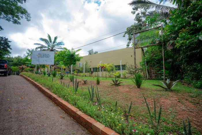 Prefeitura fortalece ações de plantio no Viveiro Municipal para tornar Porto Velho uma cidade mais verde e mais sustentável