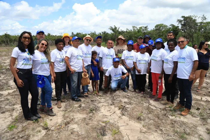 Projeto Algodão Agroecológico da Liberdade é implantado em comunidade quilombola de Alcântara