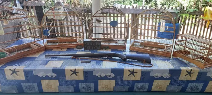 Batalhão Ambiental apreende aves silvestres e prende homem em Nova Canaã do Norte