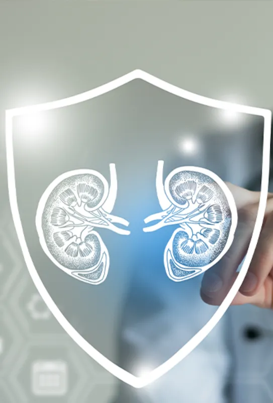 Especialista da Bayer explica a relação entre rins e coração