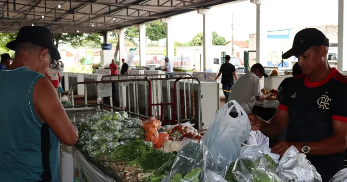 Feiras livres impulsionam agricultura familiar e movimentam a economia em Porto Nacional e Luzimangues